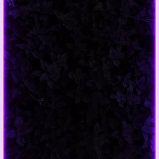iPhone 16 Pro border wallpaper