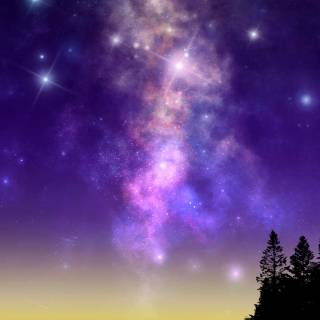 Minnesota Vikings phone wallpaper