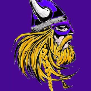 Minnesota Vikings phone wallpaper