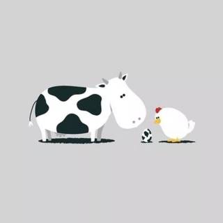 Cartoon animal phone wallpaper