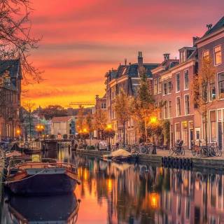 Netherlands phone wallpaper