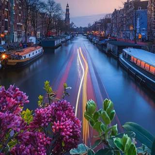 Netherlands phone wallpaper