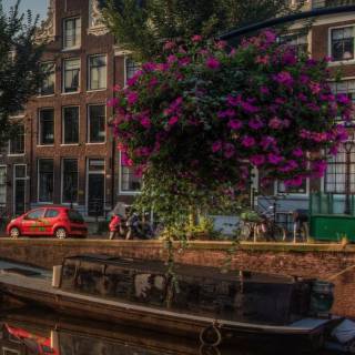 Netherlands phone wallpaper