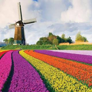 Netherlands phone wallpaper