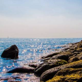 Netherlands phone wallpaper