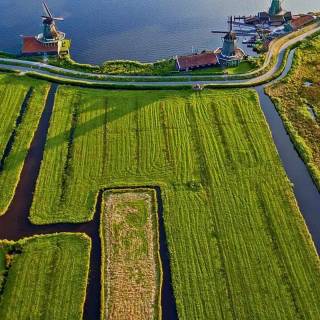 Netherlands phone wallpaper