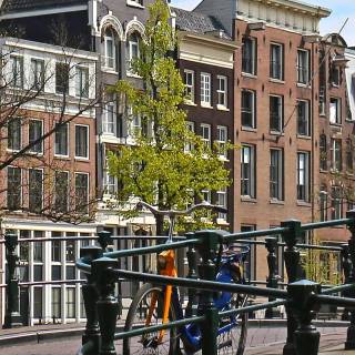 Netherlands phone wallpaper