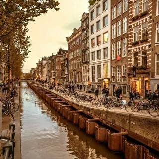 Netherlands phone wallpaper