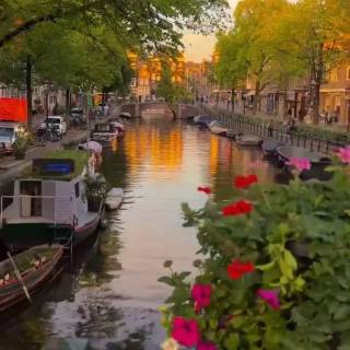 Netherlands phone wallpaper