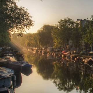 Netherlands phone wallpaper