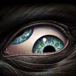 Phone eyes wallpaper