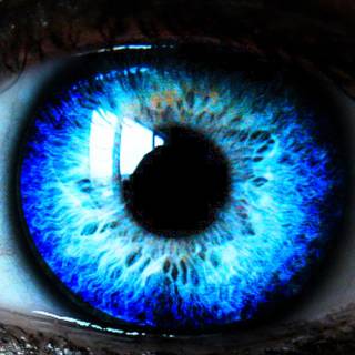 Phone eyes wallpaper