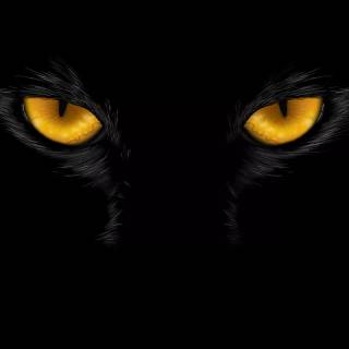 Phone eyes wallpaper