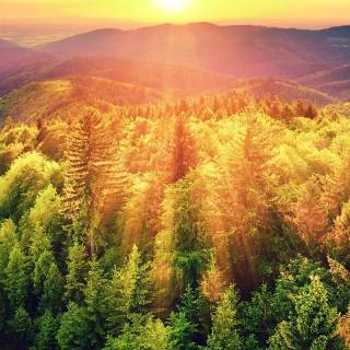 Sunlight phone wallpaper