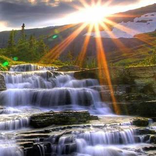 Sunlight phone wallpaper