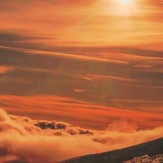 Sunlight phone wallpaper