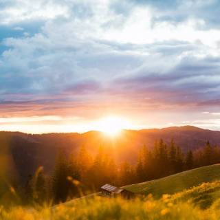 Sunlight phone wallpaper