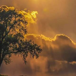 Sunlight phone wallpaper