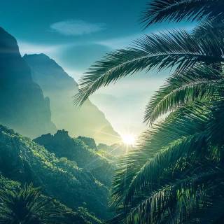 Sunlight phone wallpaper