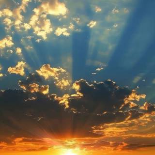 Sunlight phone wallpaper