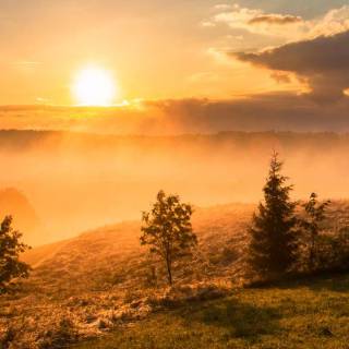 Sunlight phone wallpaper