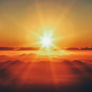 Sunlight phone wallpaper