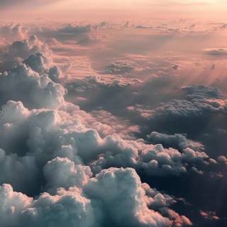 Sunlight phone wallpaper