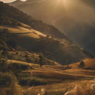 Sunlight phone wallpaper