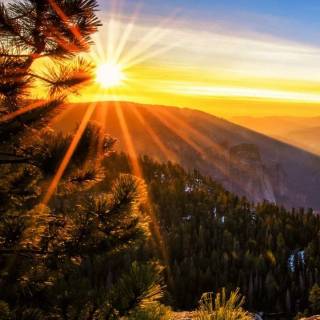 Sunlight phone wallpaper