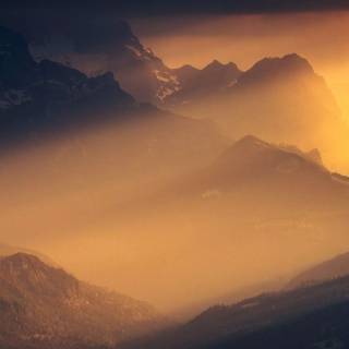 Sunlight phone wallpaper