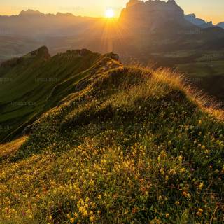 Sunlight phone wallpaper