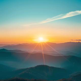 Sunlight phone wallpaper