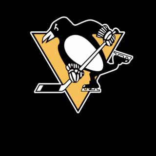 Pittsburgh Penguins iPhone wallpaper