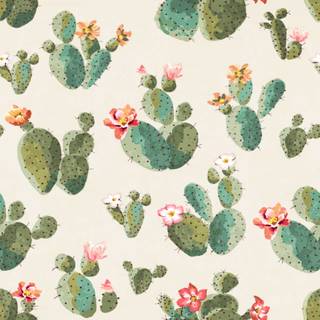 Succulent plants wallpaper
