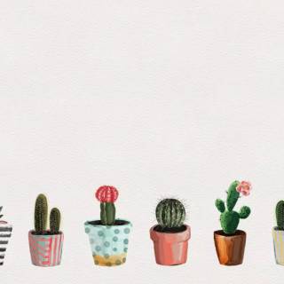 Succulent plants wallpaper