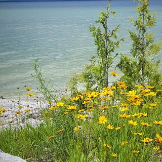 Lake Huron wallpaper