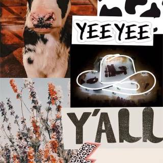 Cowgirl preppy wallpaper