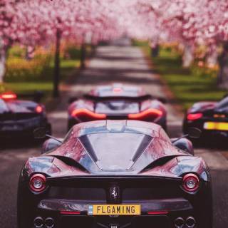 Ferrari iPhone 12 Pro Max wallpaper