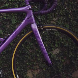 Purple bike wallpaper