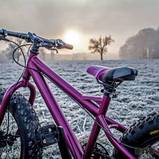 Purple bike wallpaper