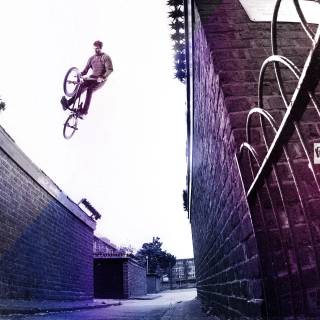 Purple bike wallpaper