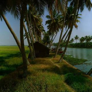 Kumarakom wallpaper