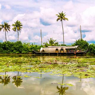 Kumarakom wallpaper