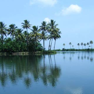 Kumarakom wallpaper