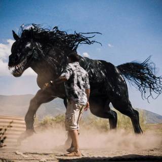 Venom horse wallpaper