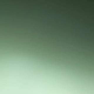 Clean green wallpaper