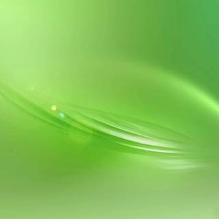 Clean green wallpaper
