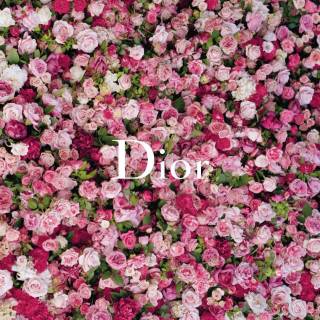 Dior pink wallpaper