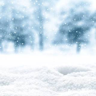 Blue cute winter wallpaper