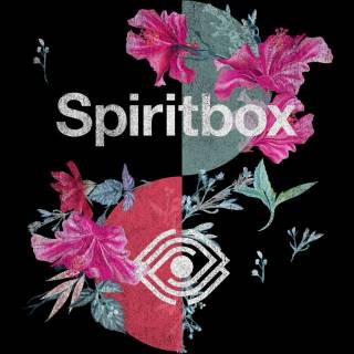 Spiritbox wallpaper